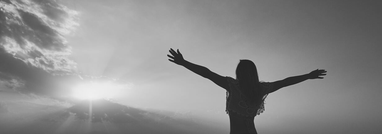 the gratitude and harmony
